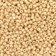 Seed beads 11/0 (2mm) Peachy orange